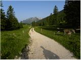 Planina Dol - Gradišče (Velika planina)